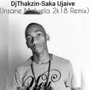 Dj Thakzin - Saka Ujaive (Insane Malwela 2k18 Remix)
